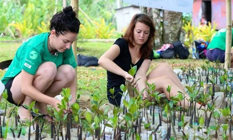 voluntourism-opportunities-in-fiji.800