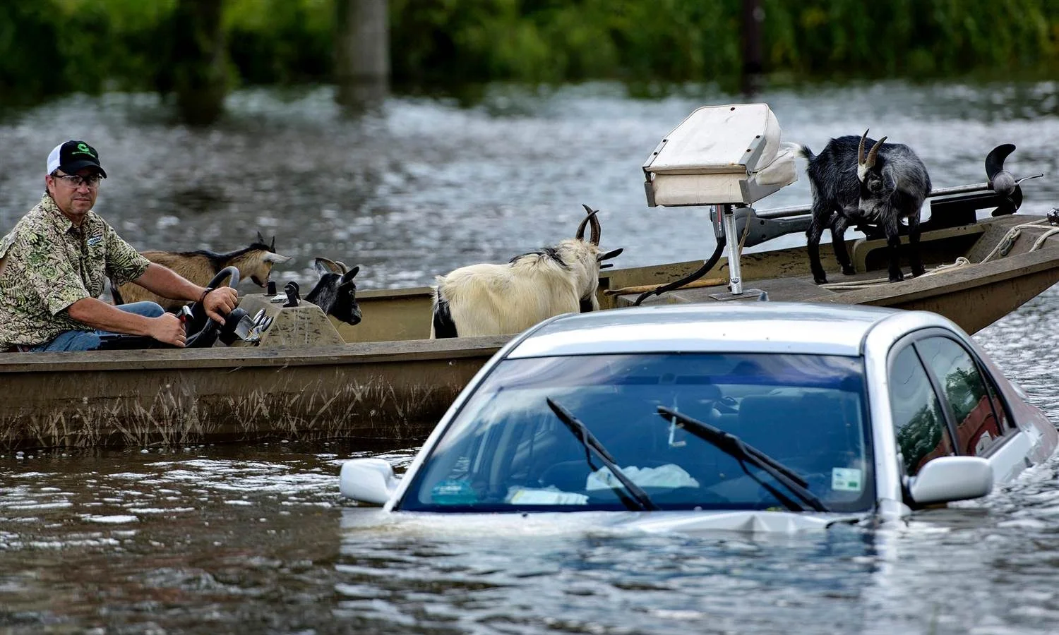 160817-louisiana-flooding-jsw-242p_aaa0f16eccae849a869a006c721e09fb-nbcnews-ux-2880-1000