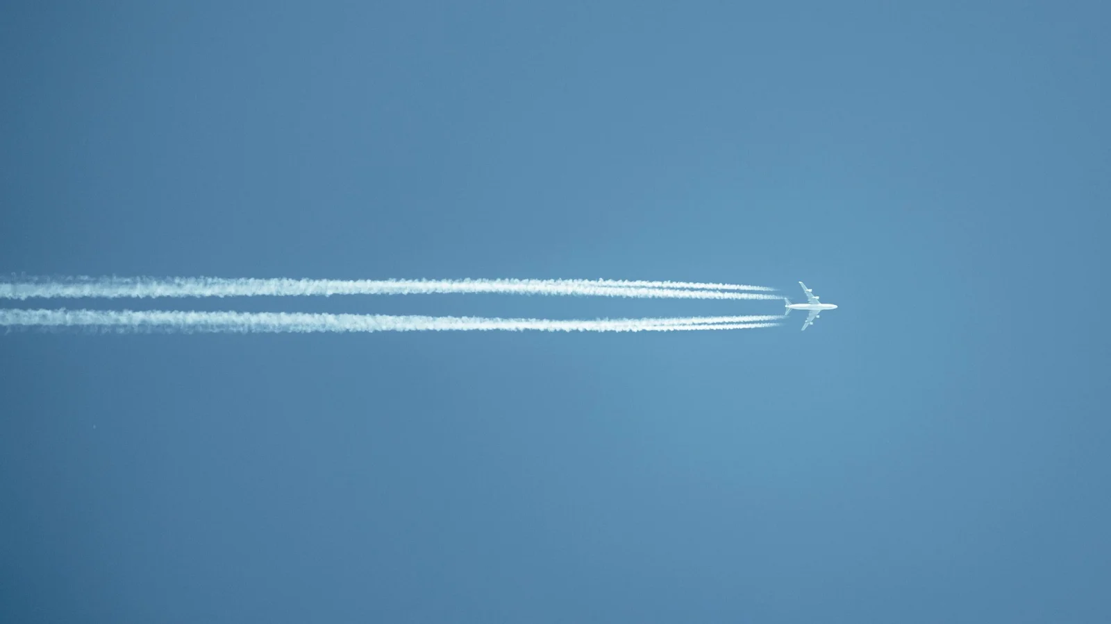 Flight