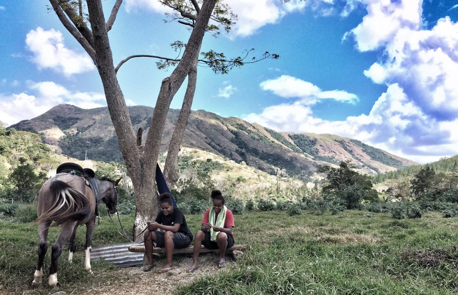 New Caledonia 2 (1)