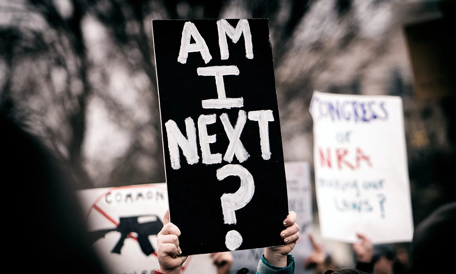 1920px-Am_I_Next__Student_lie-in_at_the_White_House_to_protest_gun_laws_(39470972375)