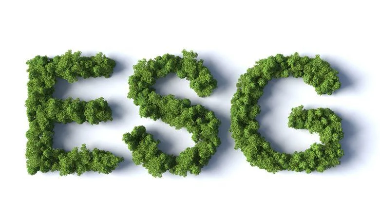 The Problem Isn’t Sustainable Investing: It’s the Phrase “ESG”
