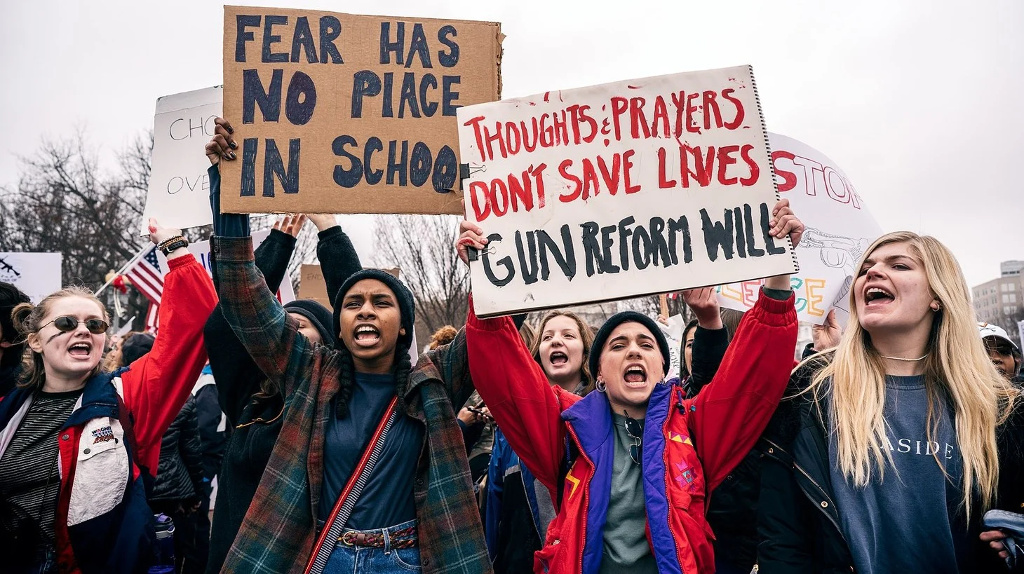 gunreform