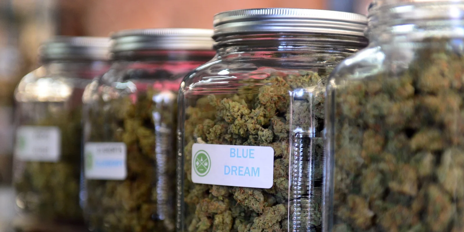 Pot Politics: Medical Marijuana in the Deep South