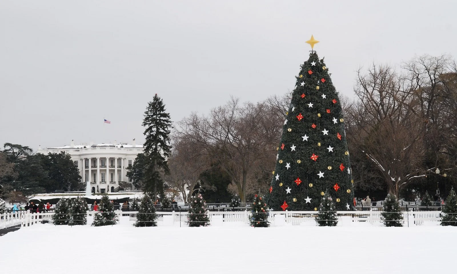 wh-natl-tree-dec-2010