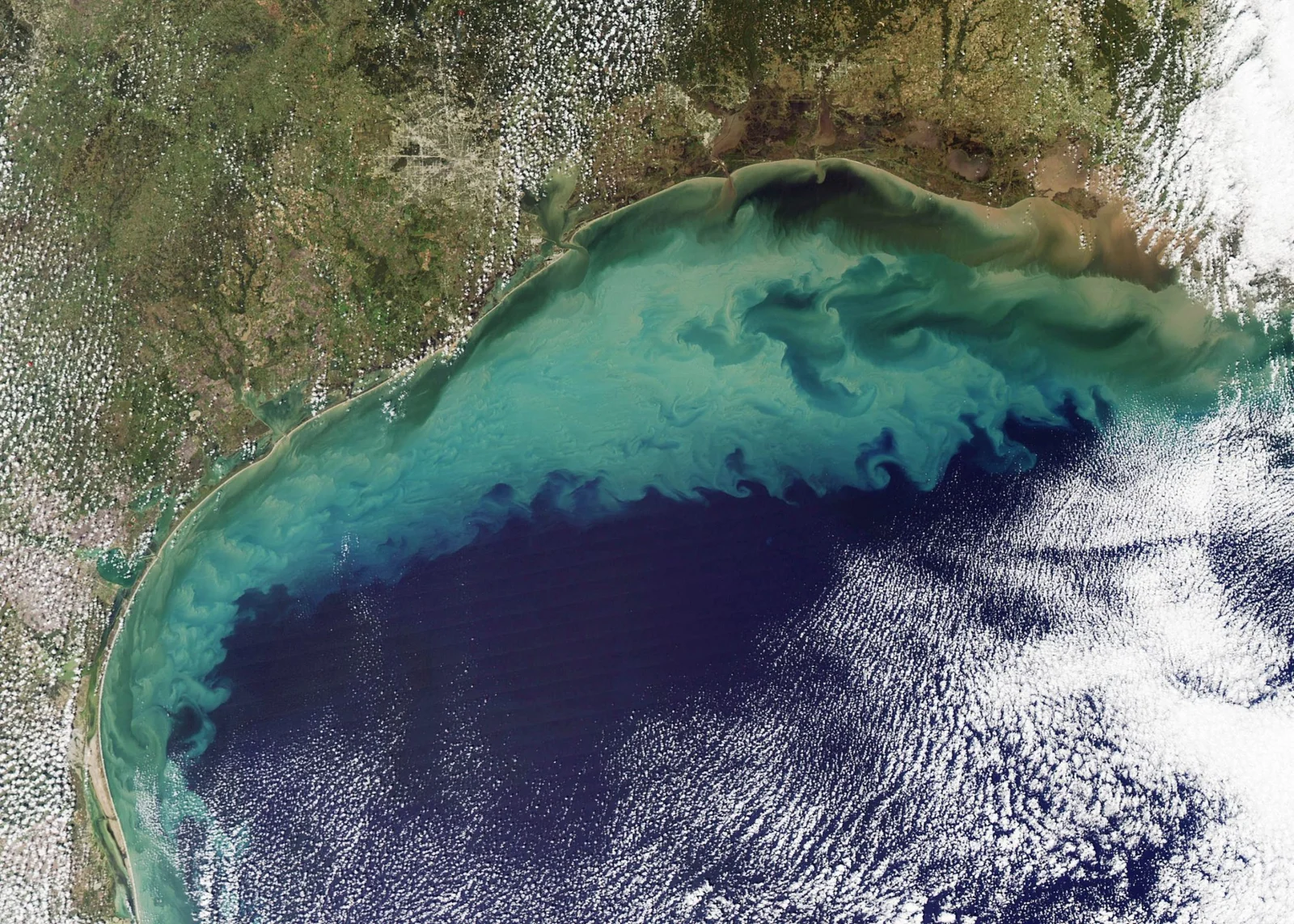 Gulf of Mexico