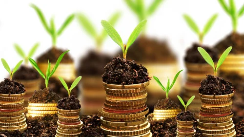 money-image-e1413713890333