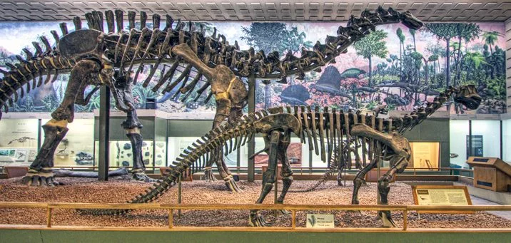 Bronto720