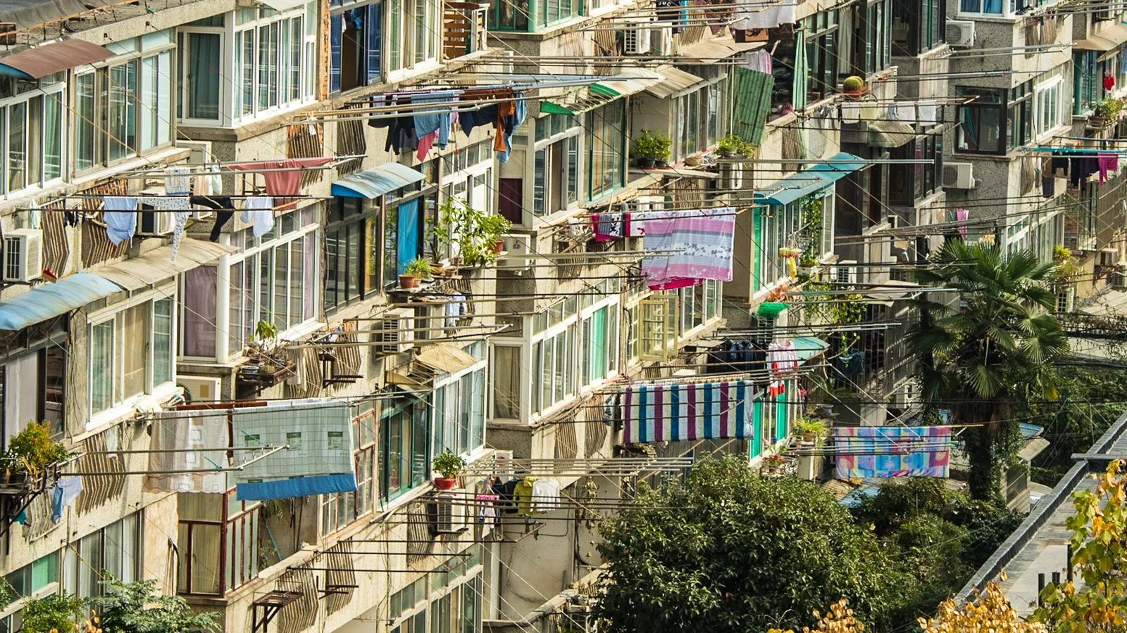 china1